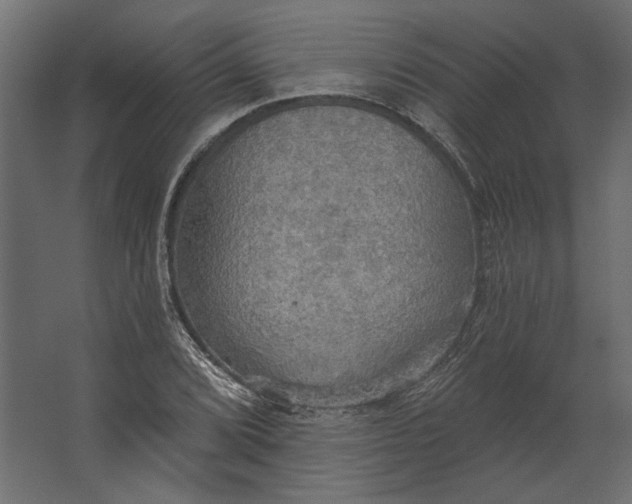 X0000067471072200604211601