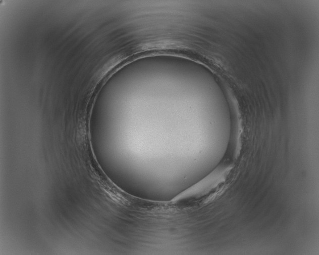 X0000067471073200604211601