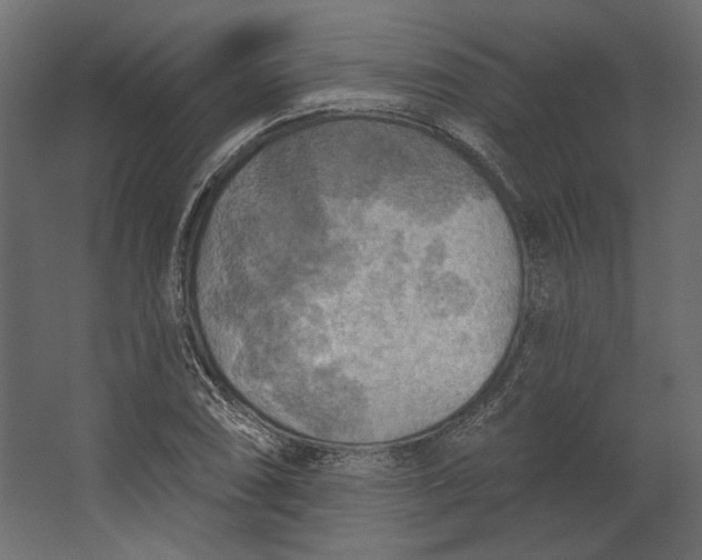 X0000067471074200604211601