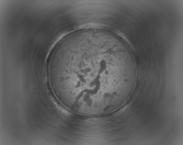 X0000067471075200604211601