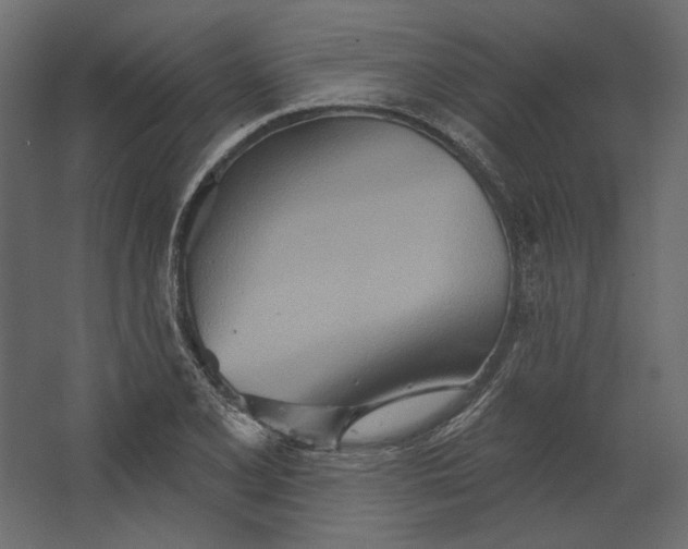 X0000067471077200604211601