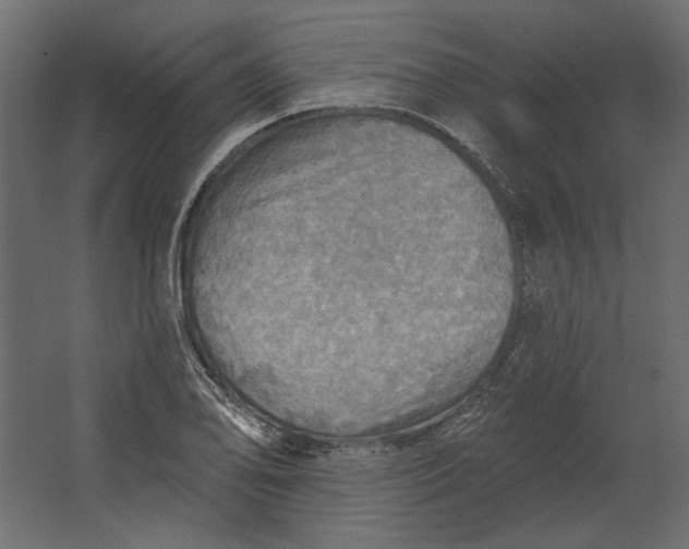 X0000067471078200604211601