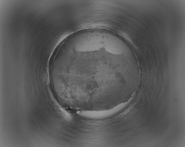 X0000067471079200604211601