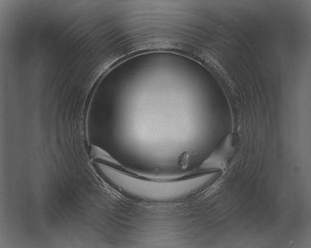 X0000067471081200604211601