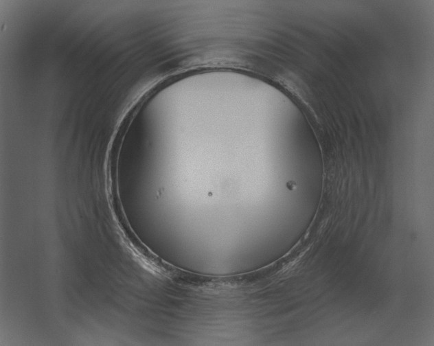 X0000067471082200604211601