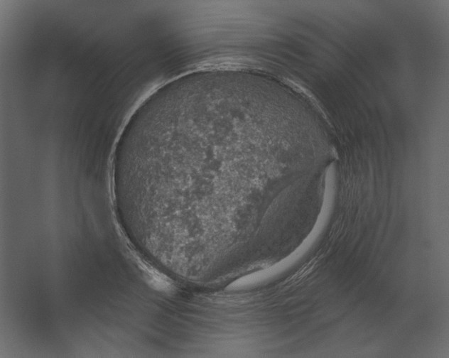 X0000067471083200604211601