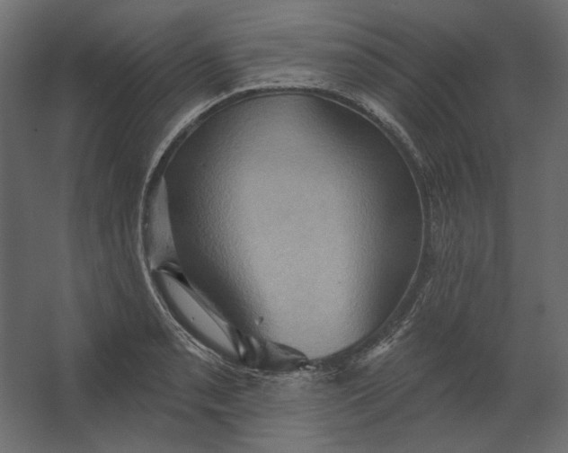 X0000067471085200604211601