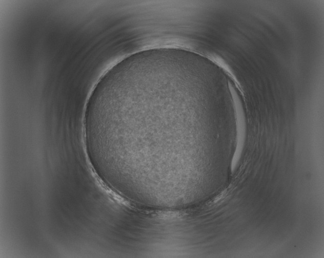 X0000067471088200604211600