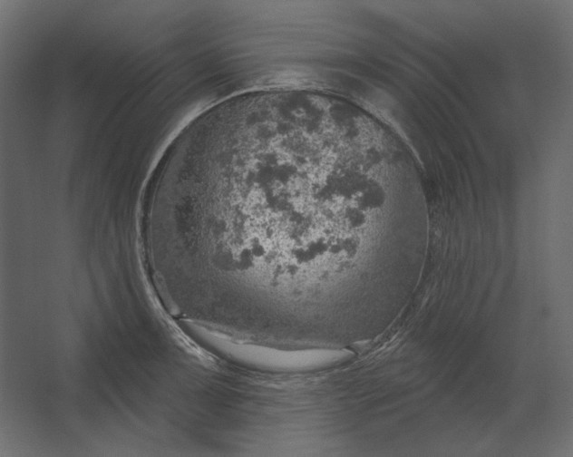 X0000067471091200604211600