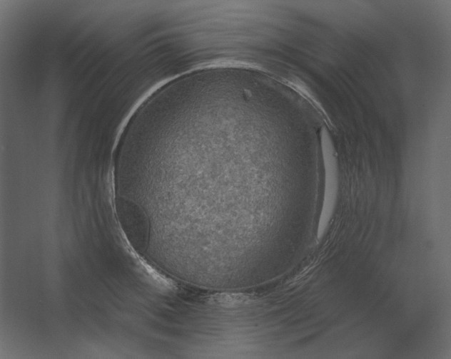 X0000067471092200604211600