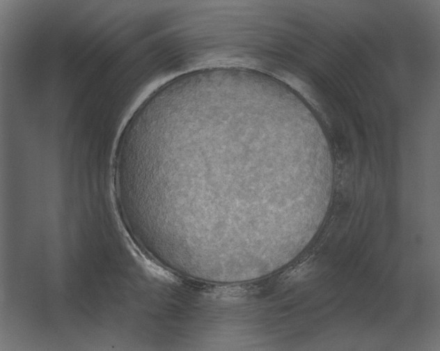 X0000067471094200604211600