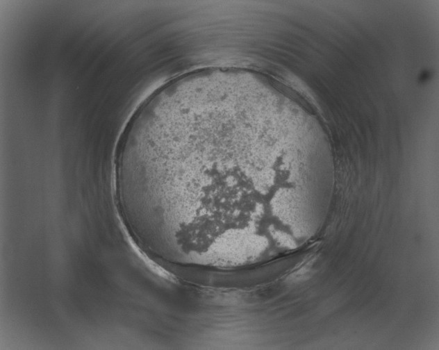 X0000067471095200604211600