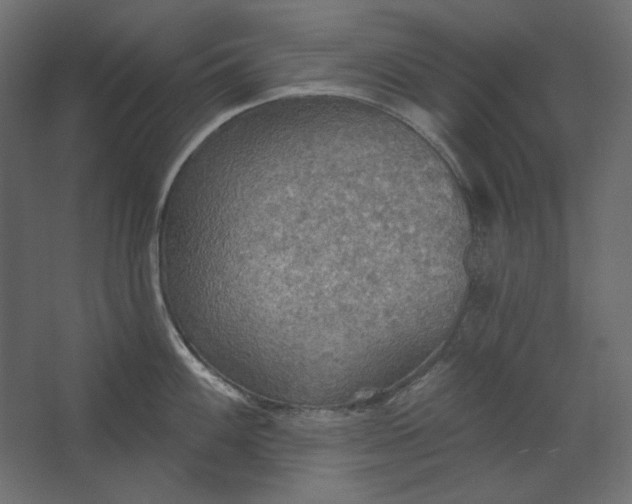 X0000067471100200604211600