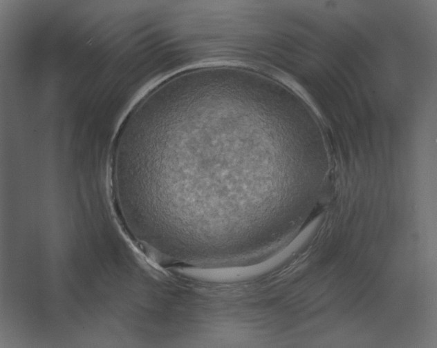 X0000067471101200604211600