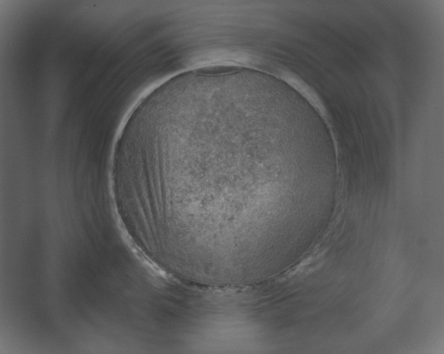 X0000067471104200604211600