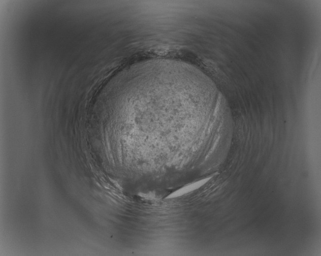 X0000067471105200604211559