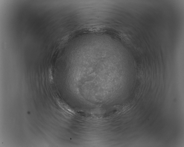 X0000067471106200604211559