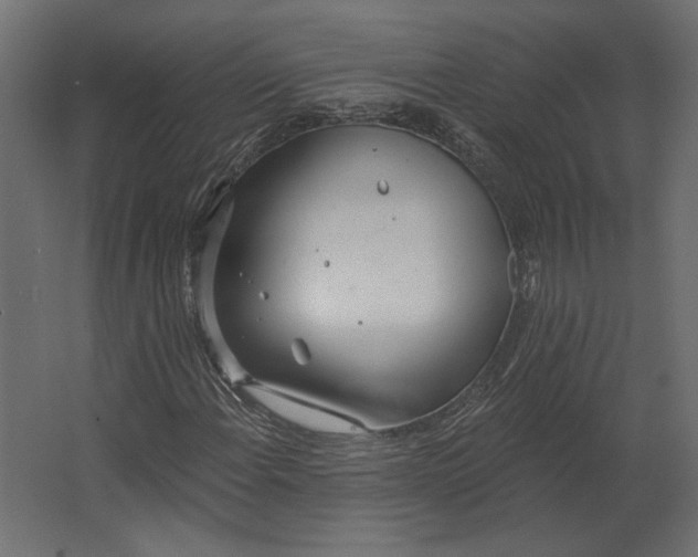 X0000067471108200604211559