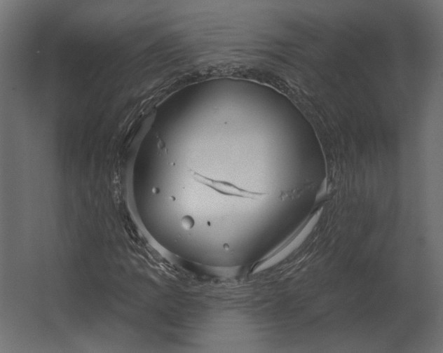 X0000067471109200604211559