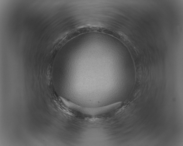 X0000067471110200604211559