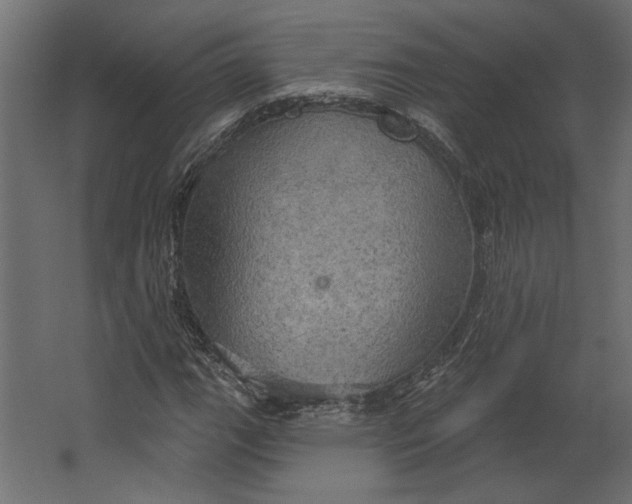 X0000067471111200604211600