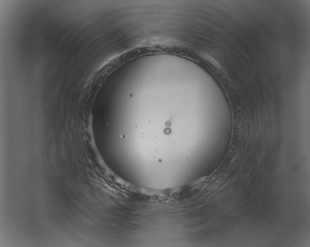 X0000067471112200604211600