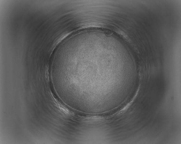 X0000067471113200604211600