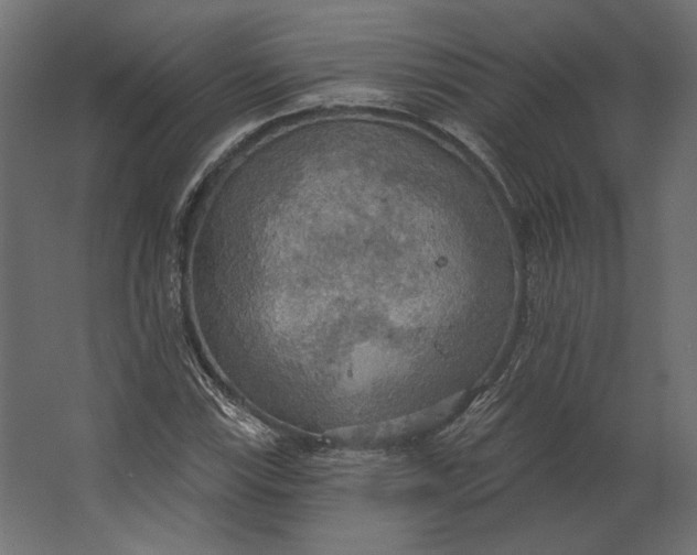 X0000067471115200604211600