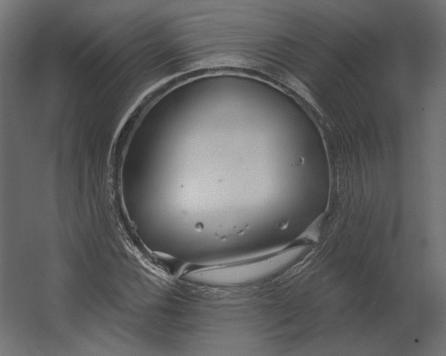 X0000067471116200604211600