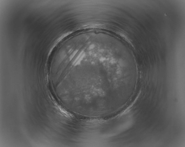 X0000067471117200604211600