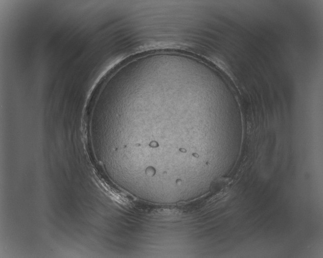 X0000067471119200604211600