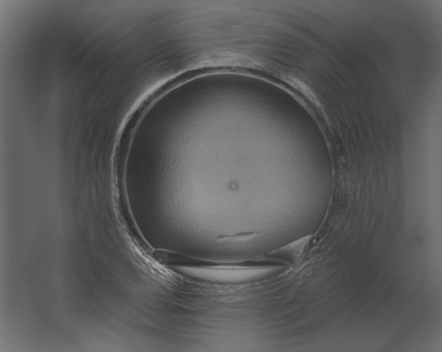 X0000067471120200604211600