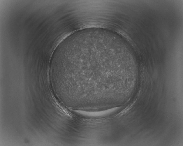 X0000067471121200604211600