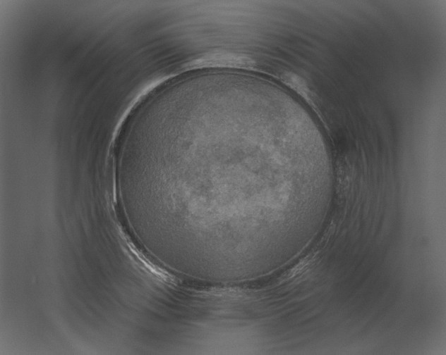 X0000067471123200604211600