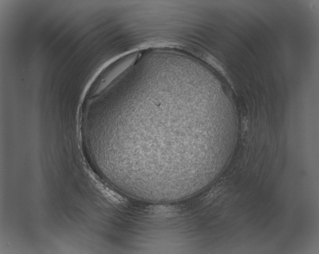 X0000067471124200604211600