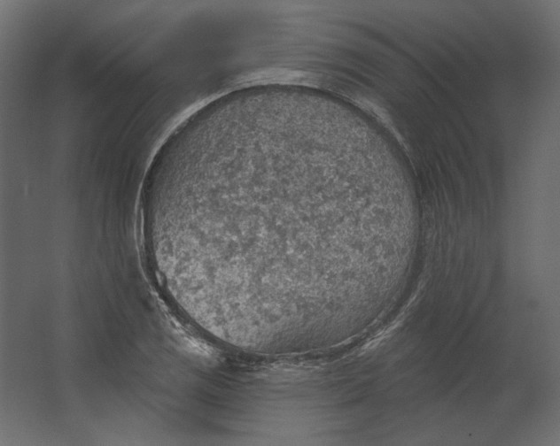 X0000067471125200604211600