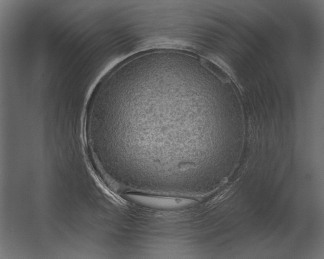 X0000067471128200604211600