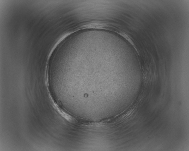 X0000067471131200604211600