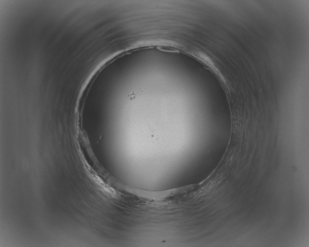 X0000067471140200604211600