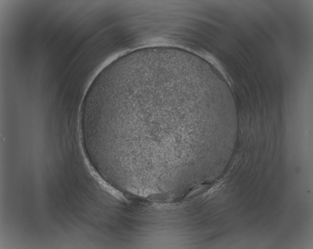 X0000067471142200604211600