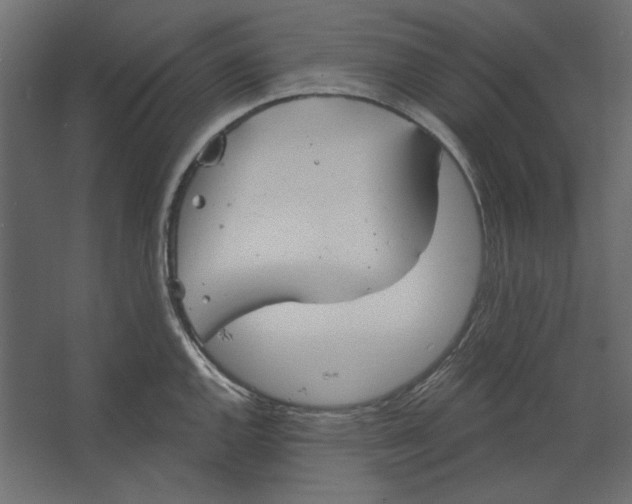 X0000067471144200604211600