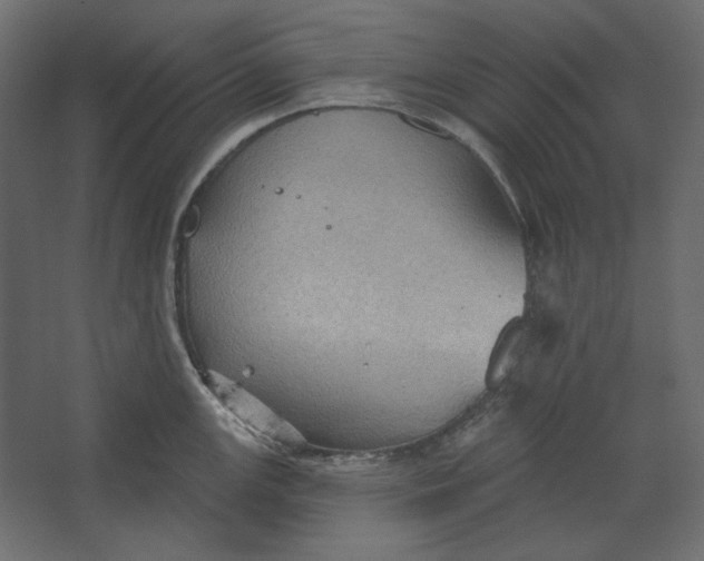 X0000067471147200604211600