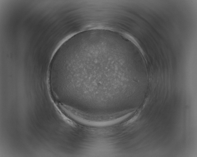 X0000067471149200604211600