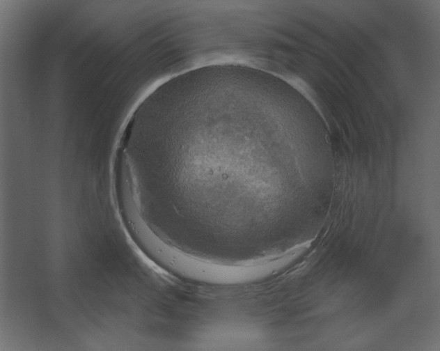 X0000067471151200604211600