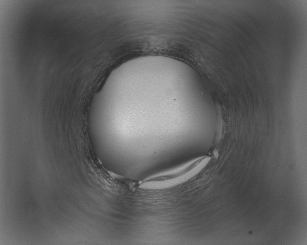 X0000067471153200604211559