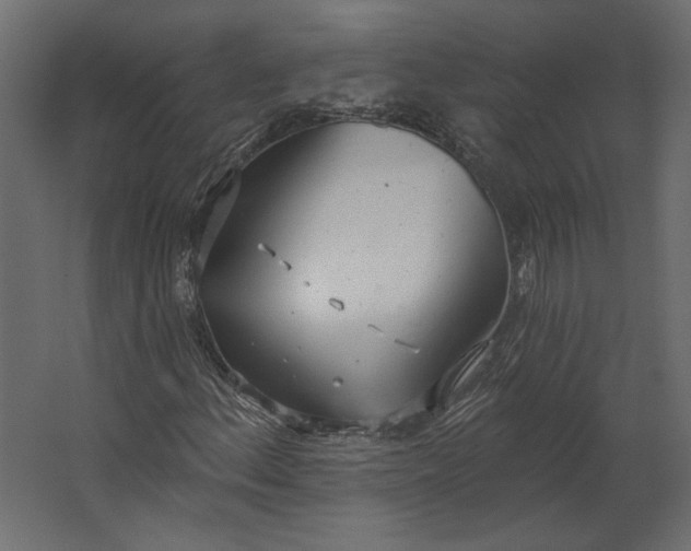 X0000067471156200604211559