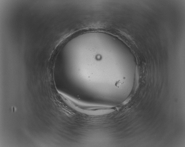 X0000067471160200604211559