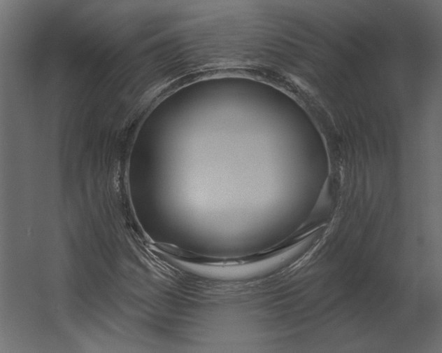 X0000067471161200604211559