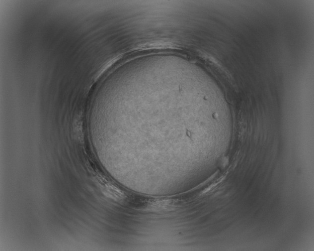 X0000067471162200604211559