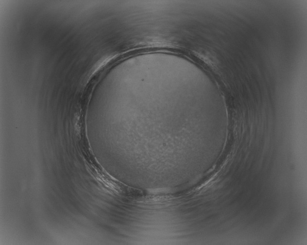 X0000067471163200604211559